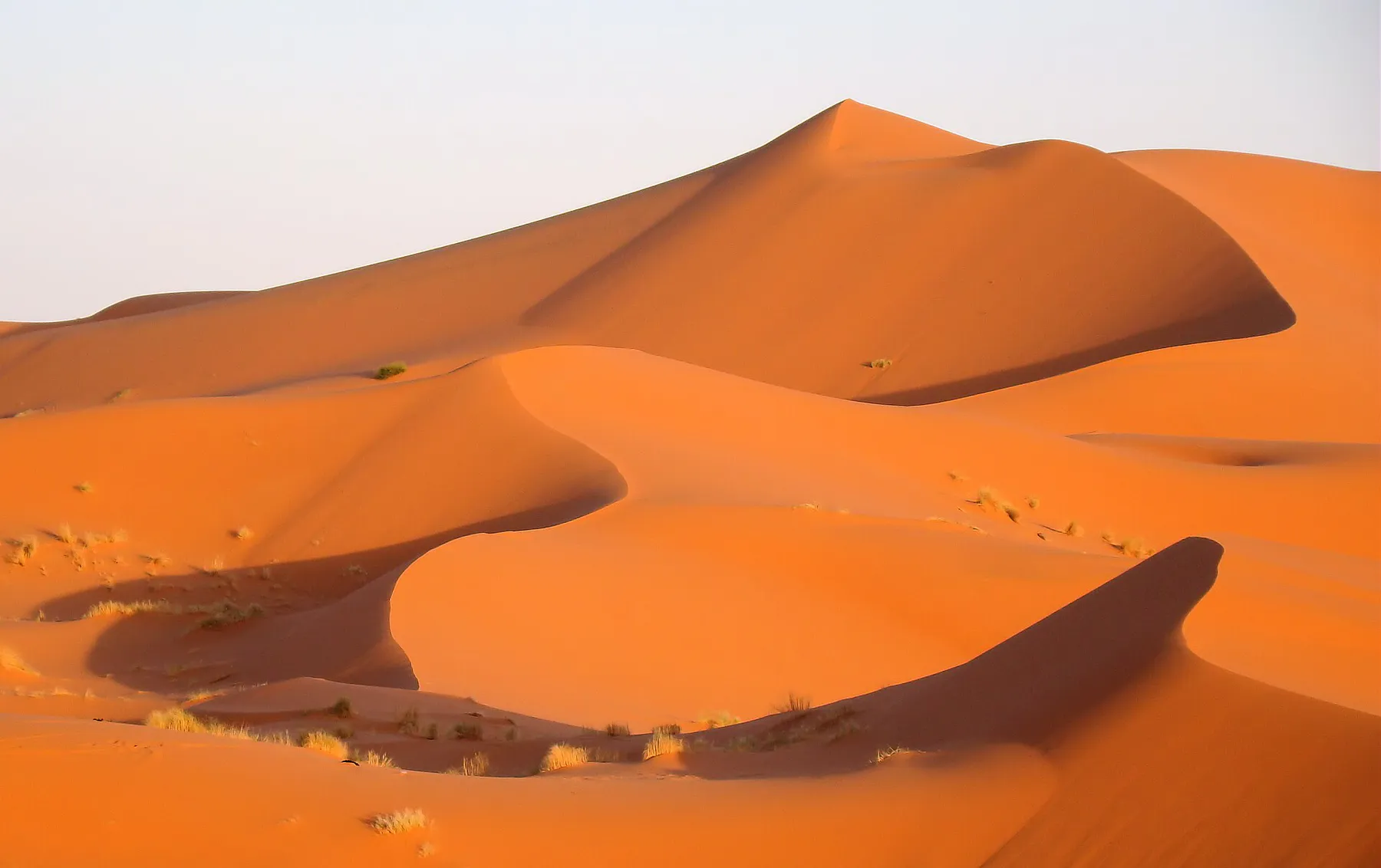 Les dunes de l’Erg Chebbi à Merzouga, dans le désert marocain