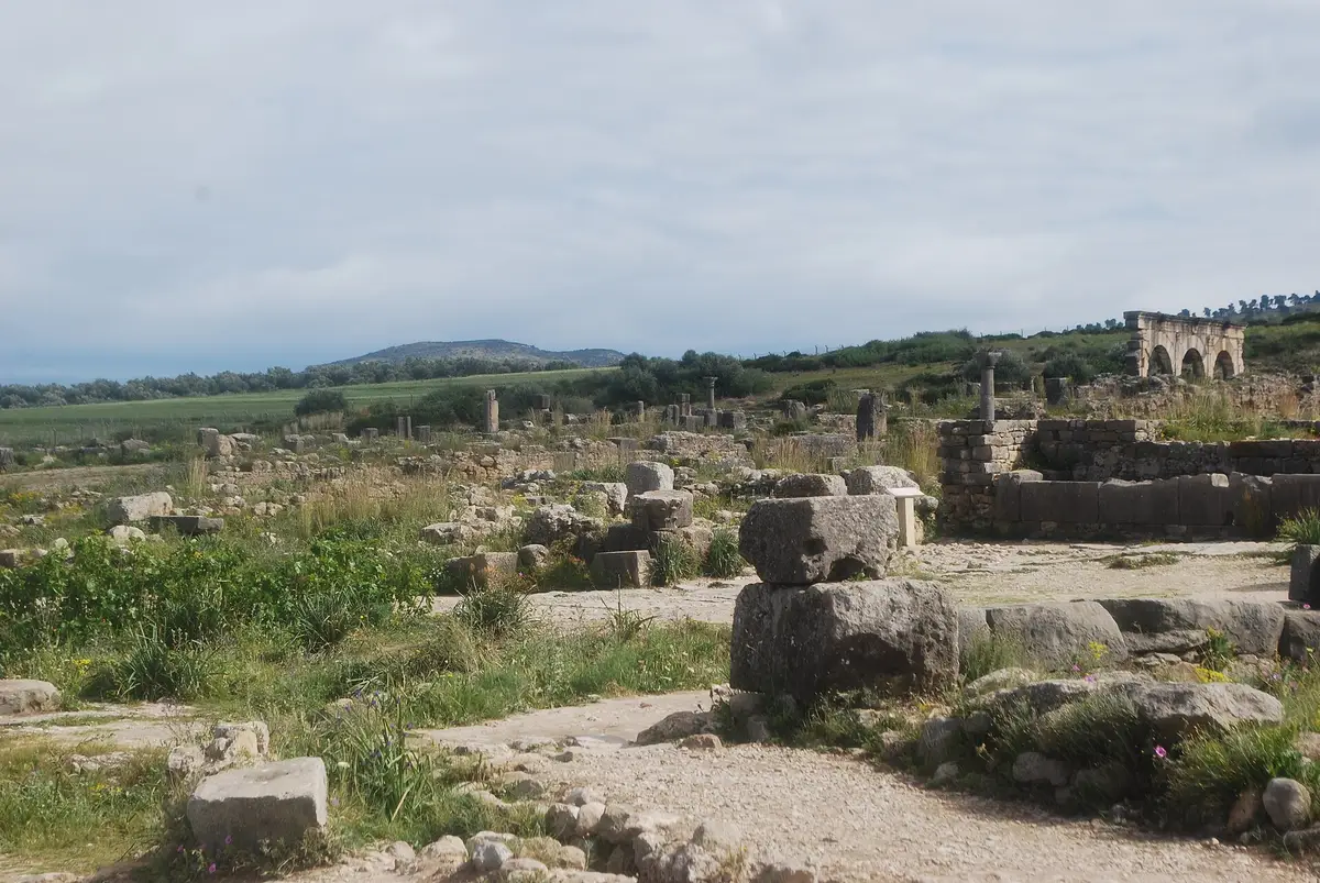 Les ruines romaines de Volubilis, visitées avec guide