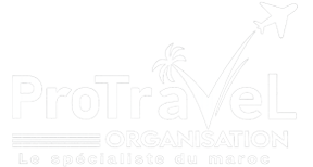 ProTravel Logo